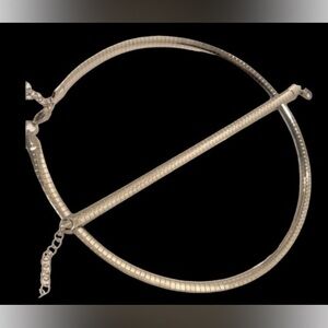 Silver omega Necklace and Bracelet set NWOT